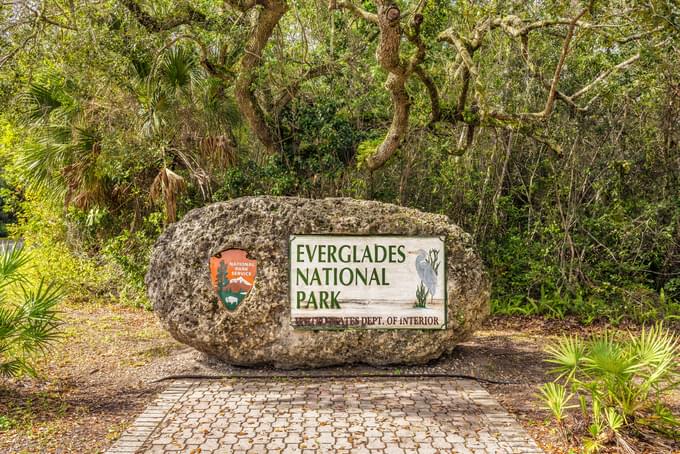 Everglades National Park.jpg