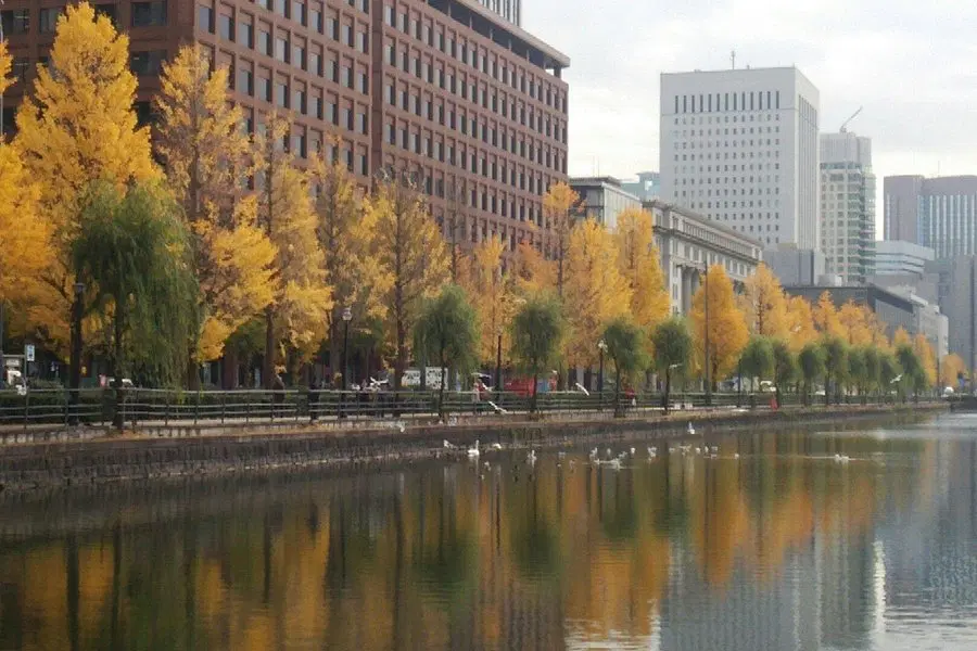 Kokyo Gaien National Garden
