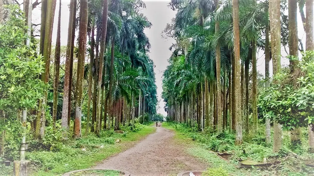 Botanical Garden