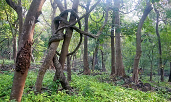 3c0x0oq0n9a2igp3eloq9rjnnjzi 1612847683 ... at yeoor hills  284163756350 29.jpg