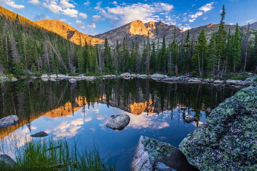 Rocky Mountain National Park Safari Tour Image