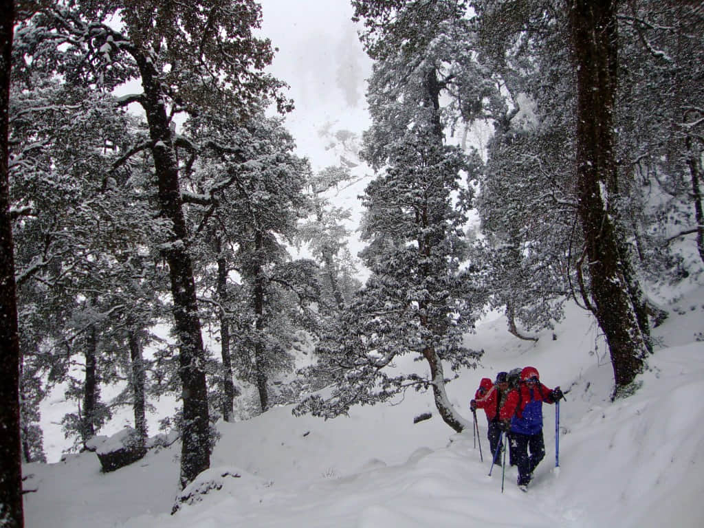 Photo from Aryan Menon's trip