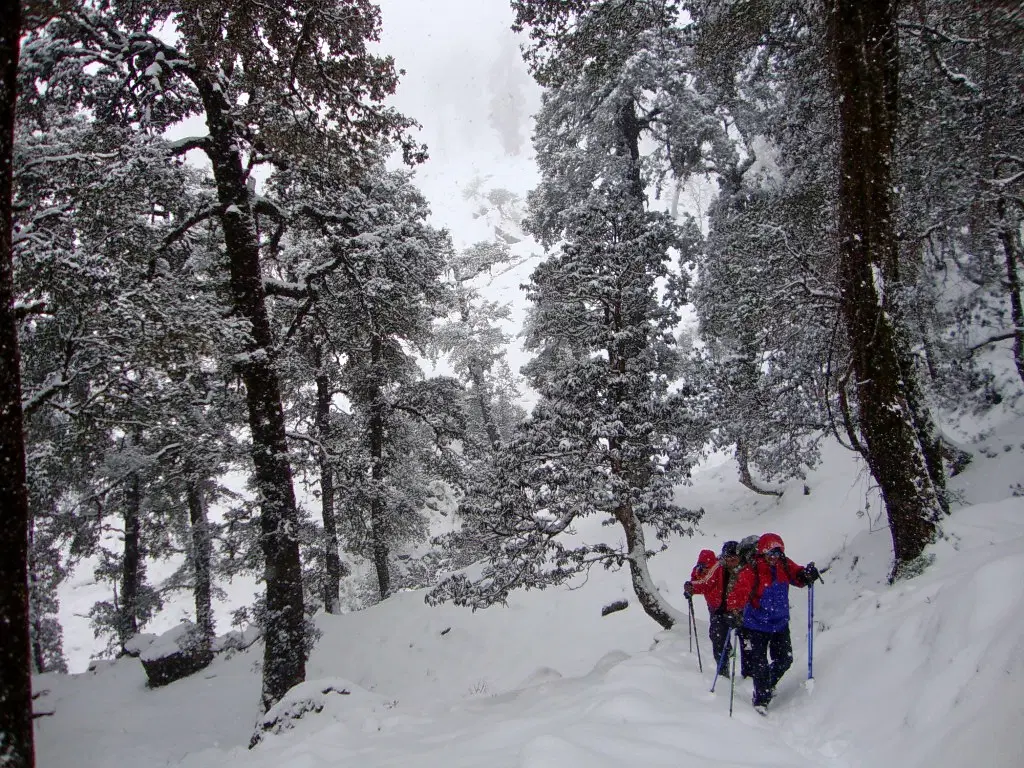Photo from Aryan Menon's trip