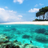 honeymoon-holidays-in-andaman