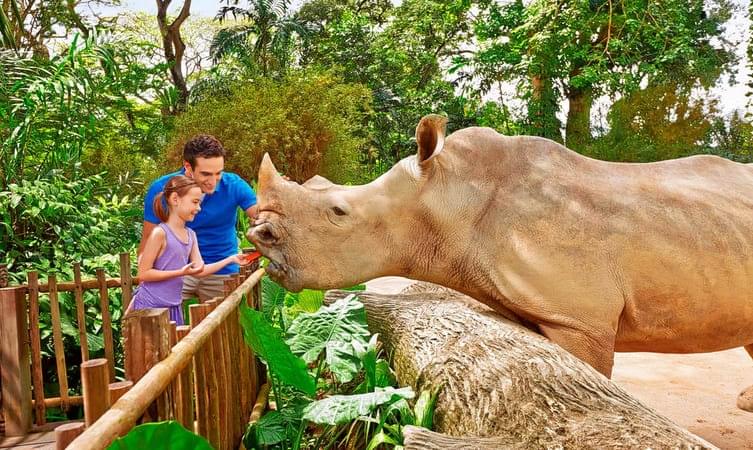 Get closer to Wildlife at Singapore Zoo