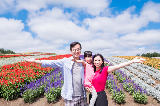 Marvel at the scenic Shikisai-no-oka, known for its flowered patchwork