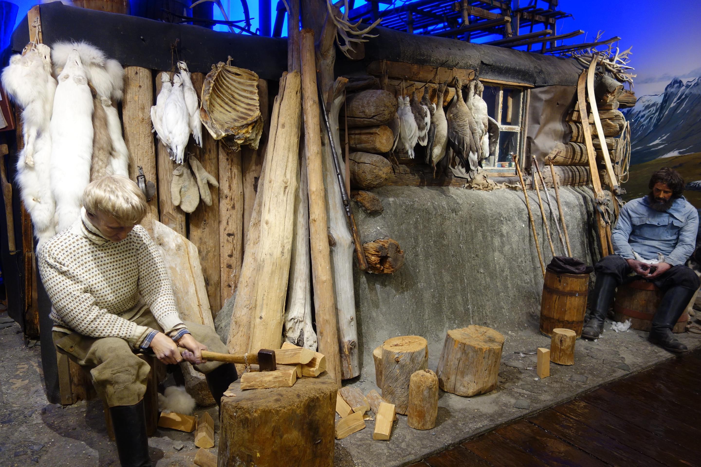 The Polar Museum Overview