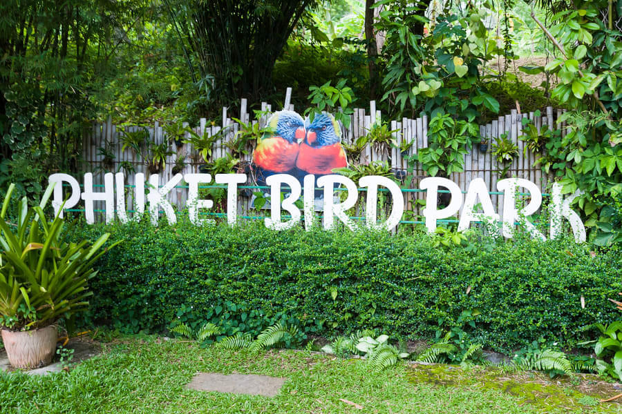 Phuket Bird Park Highlights