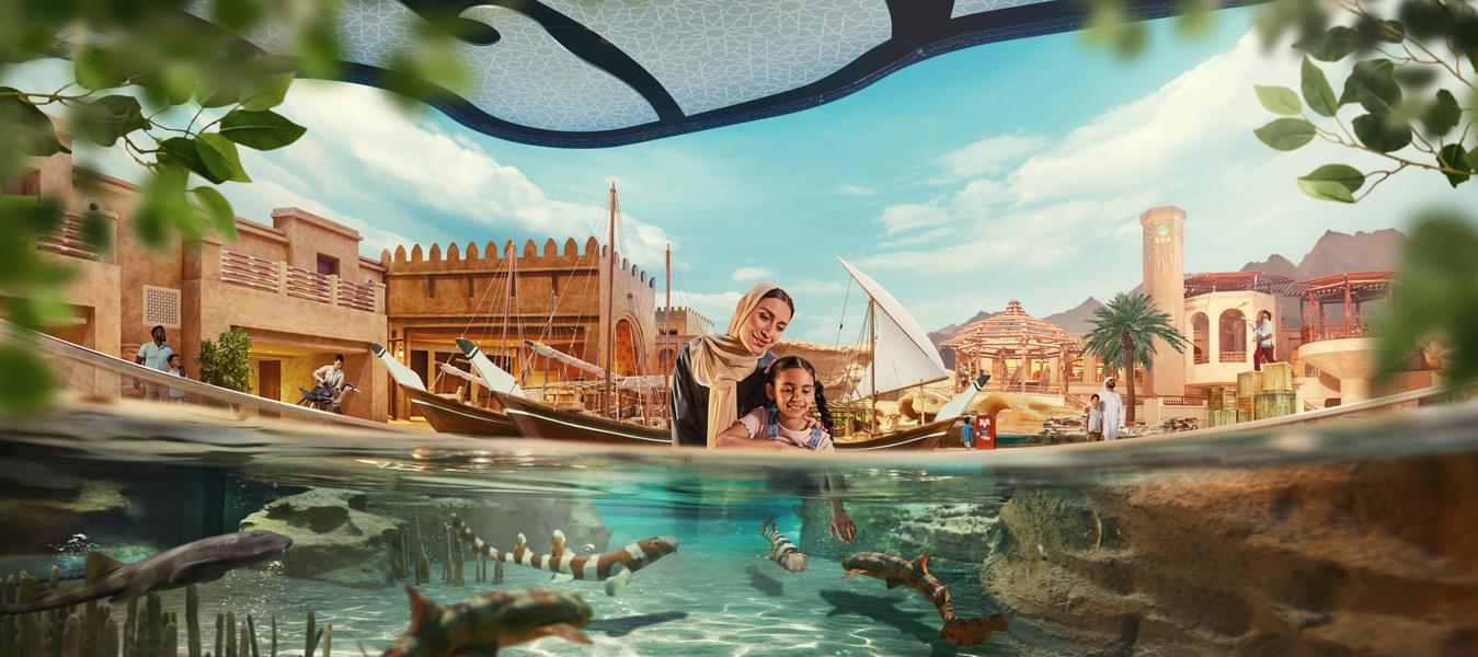 Explore Abu Dhabi Ocean realm and know about marine ecosystem of the Arabian Gulf