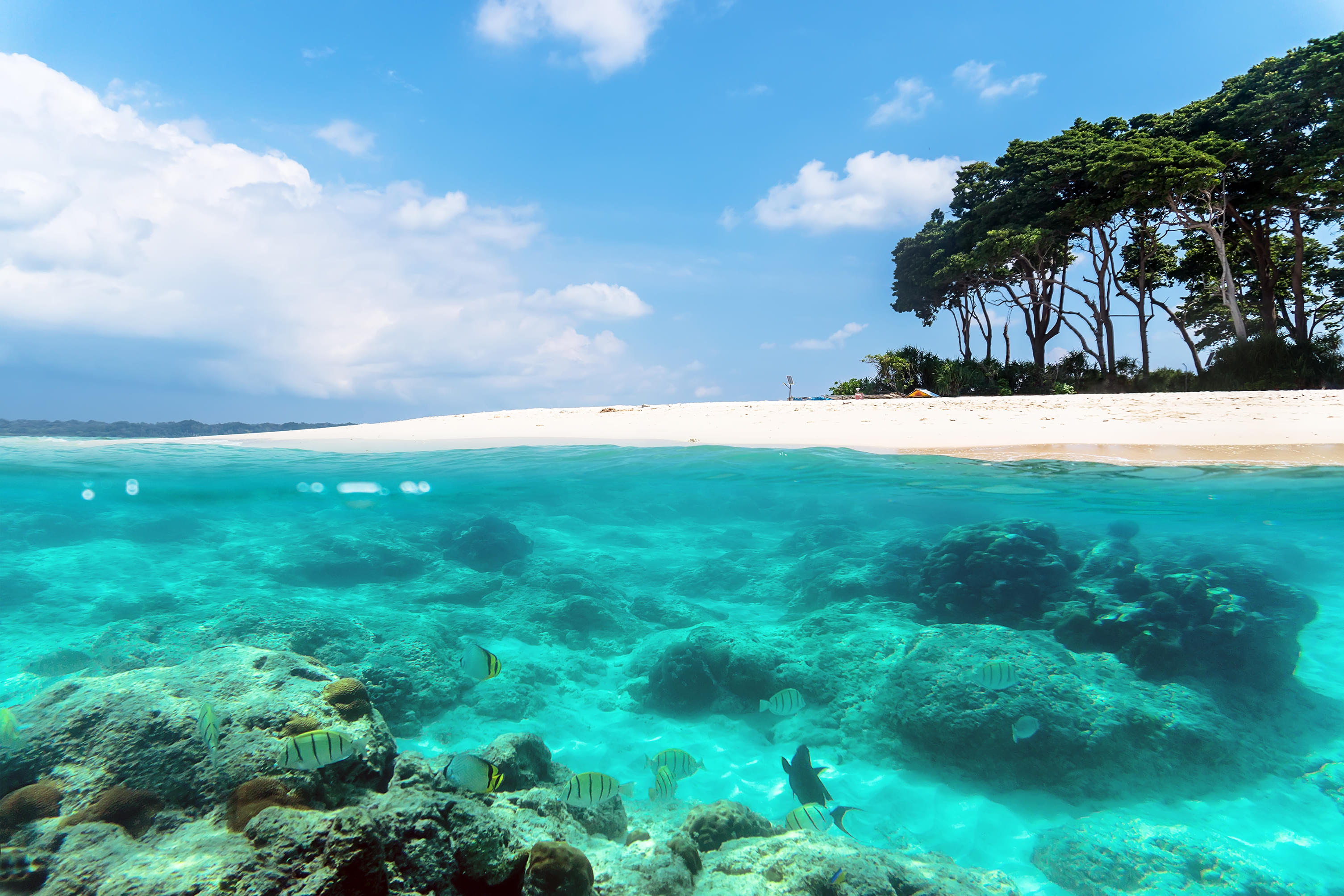 Best of North and South Andaman Tour Package