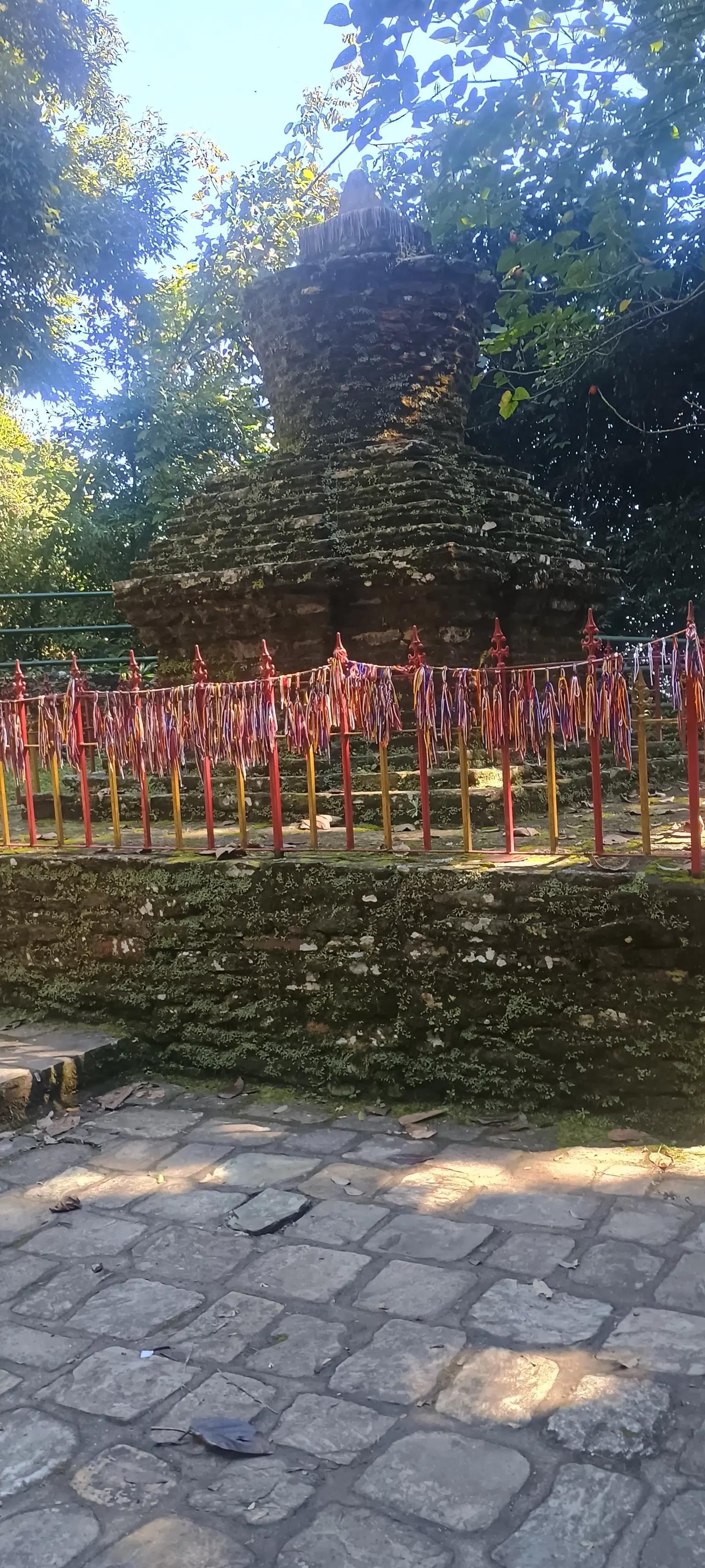Photo from Neerja Sharma's trip