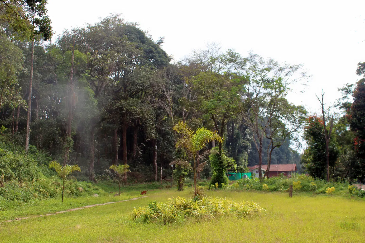 Photo from Vishwajith Rao's trip