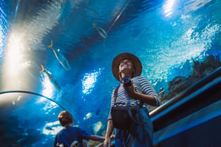 3fngxscv4d6gphdagleu8w5nw5bm shutterstock 1634574850