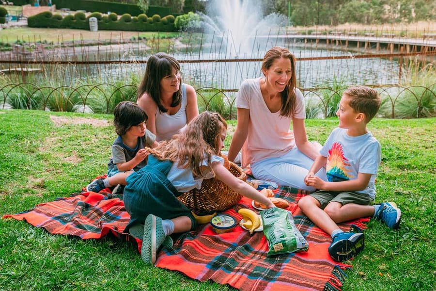 Enchanted Adventure Tickets Image