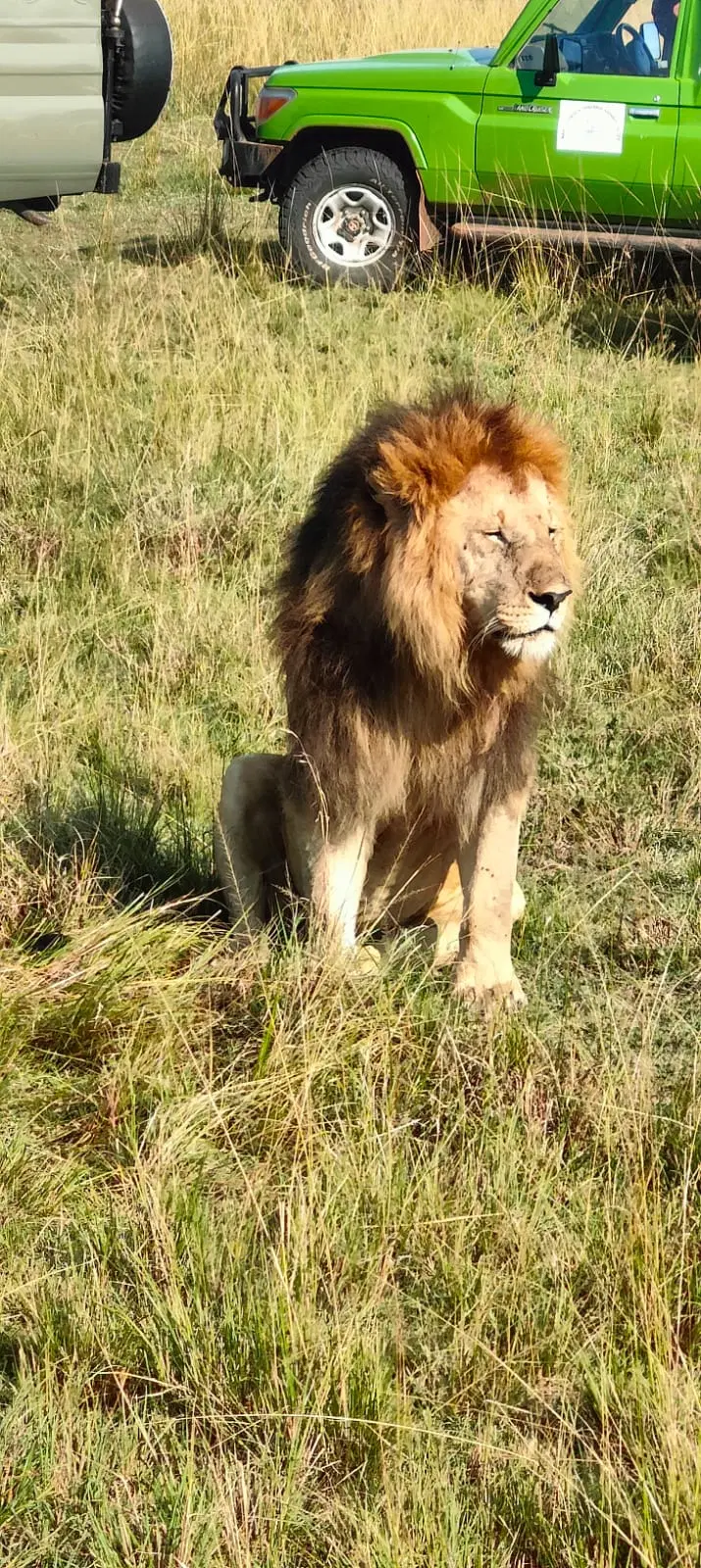 Photo from Ashit Shah's trip