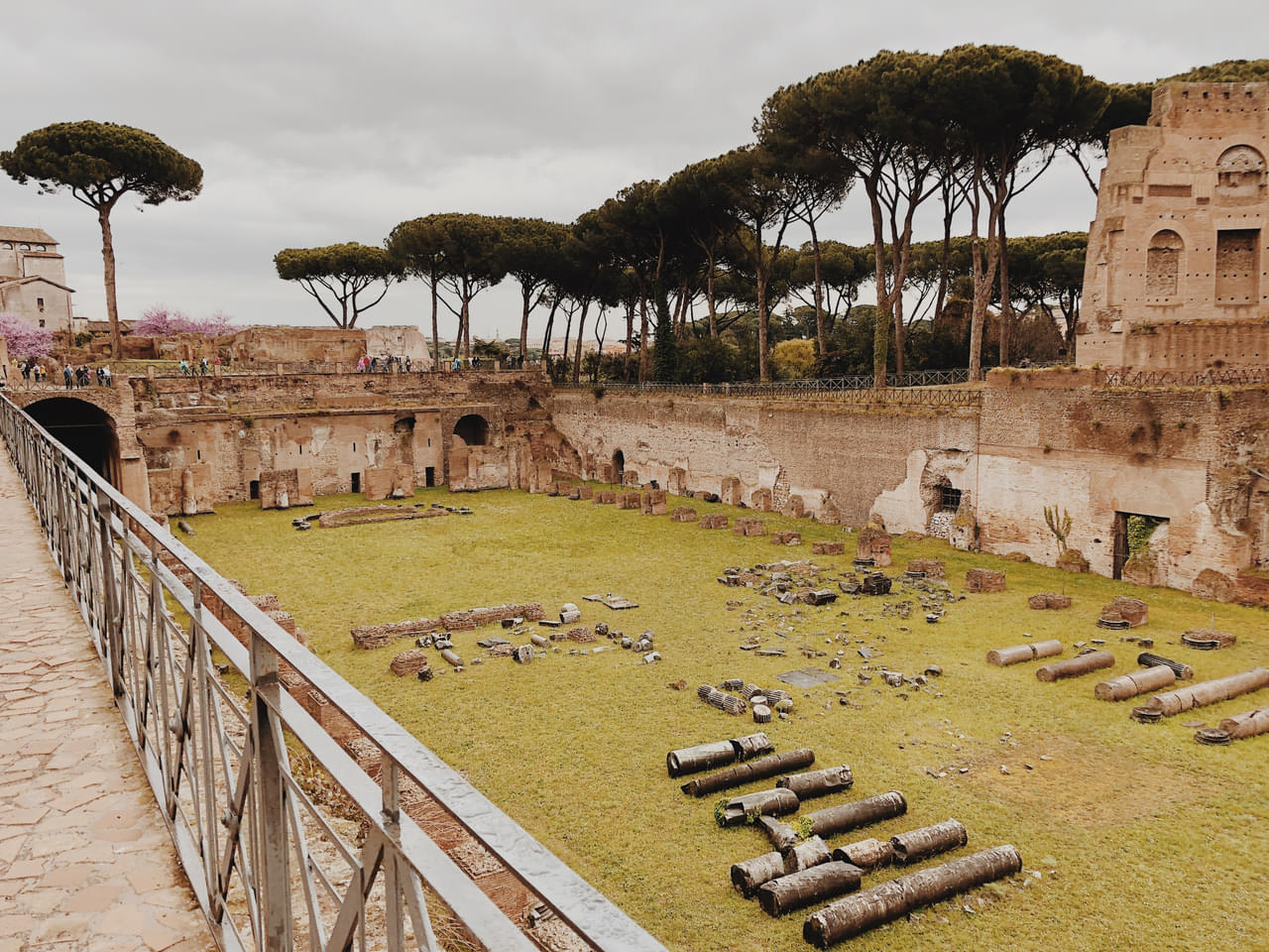Colosseum Palatine Museum