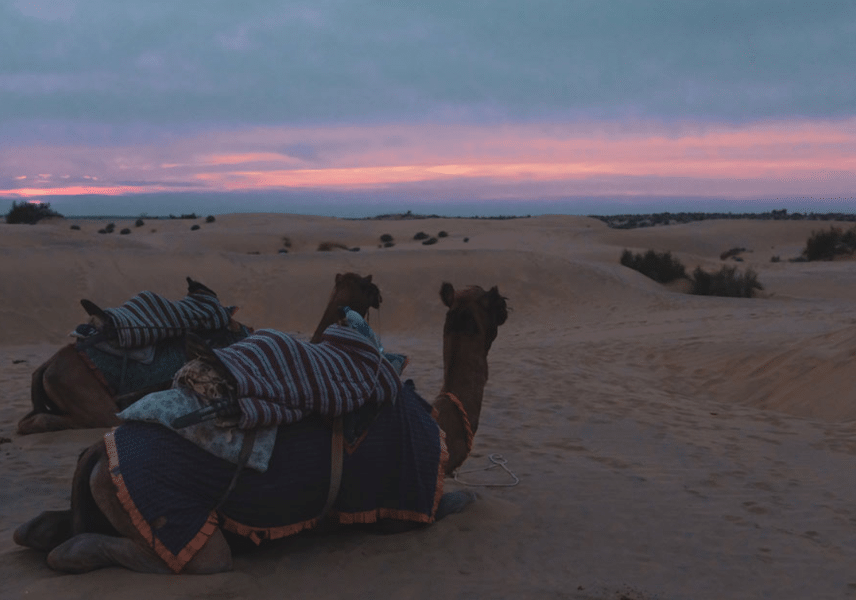 Welcome Desert Camp Jaisalmer Image