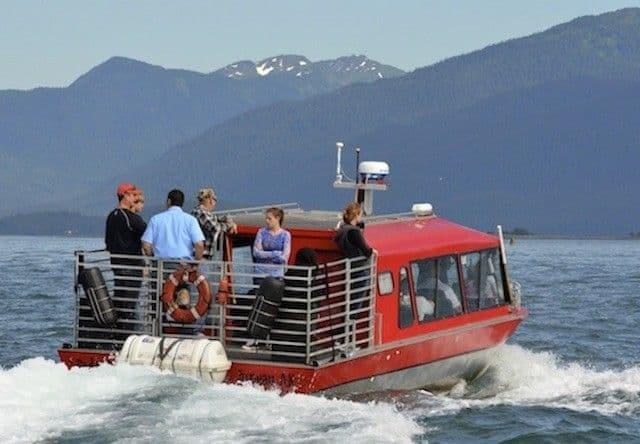 Juneau Whale Watching Adventure Tour