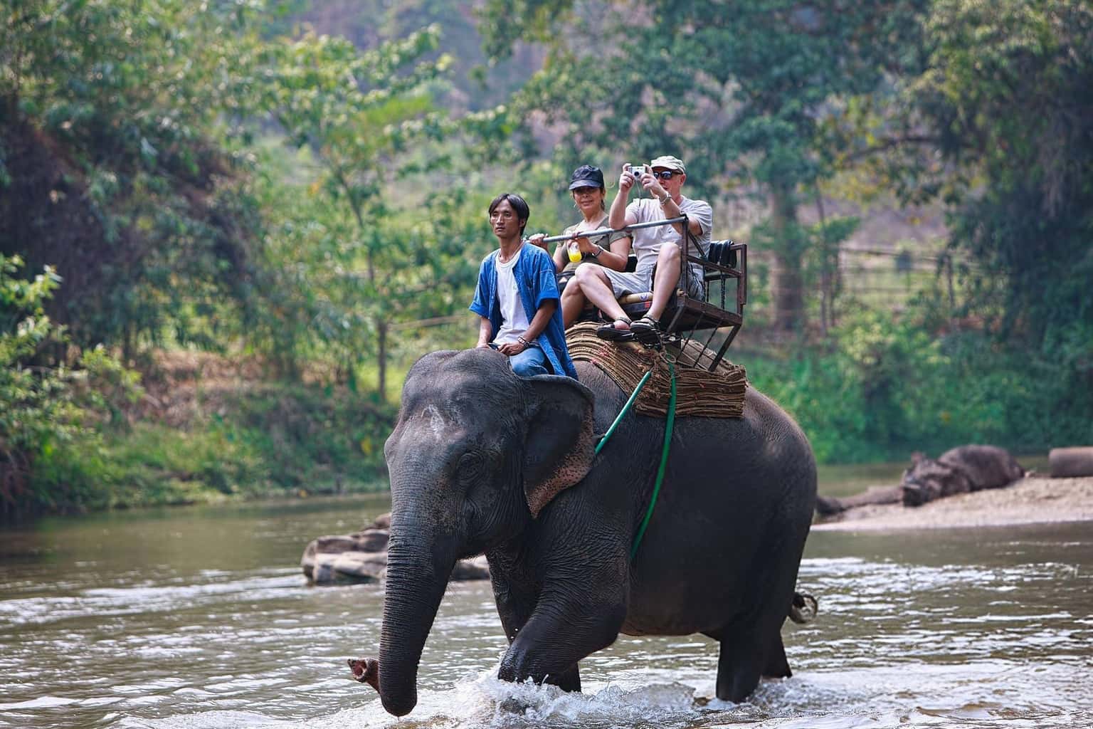 Elephant Ride in Jim Corbett