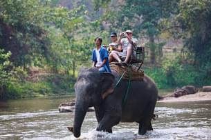 Ride through the Jim Corbett on an elephant’s back