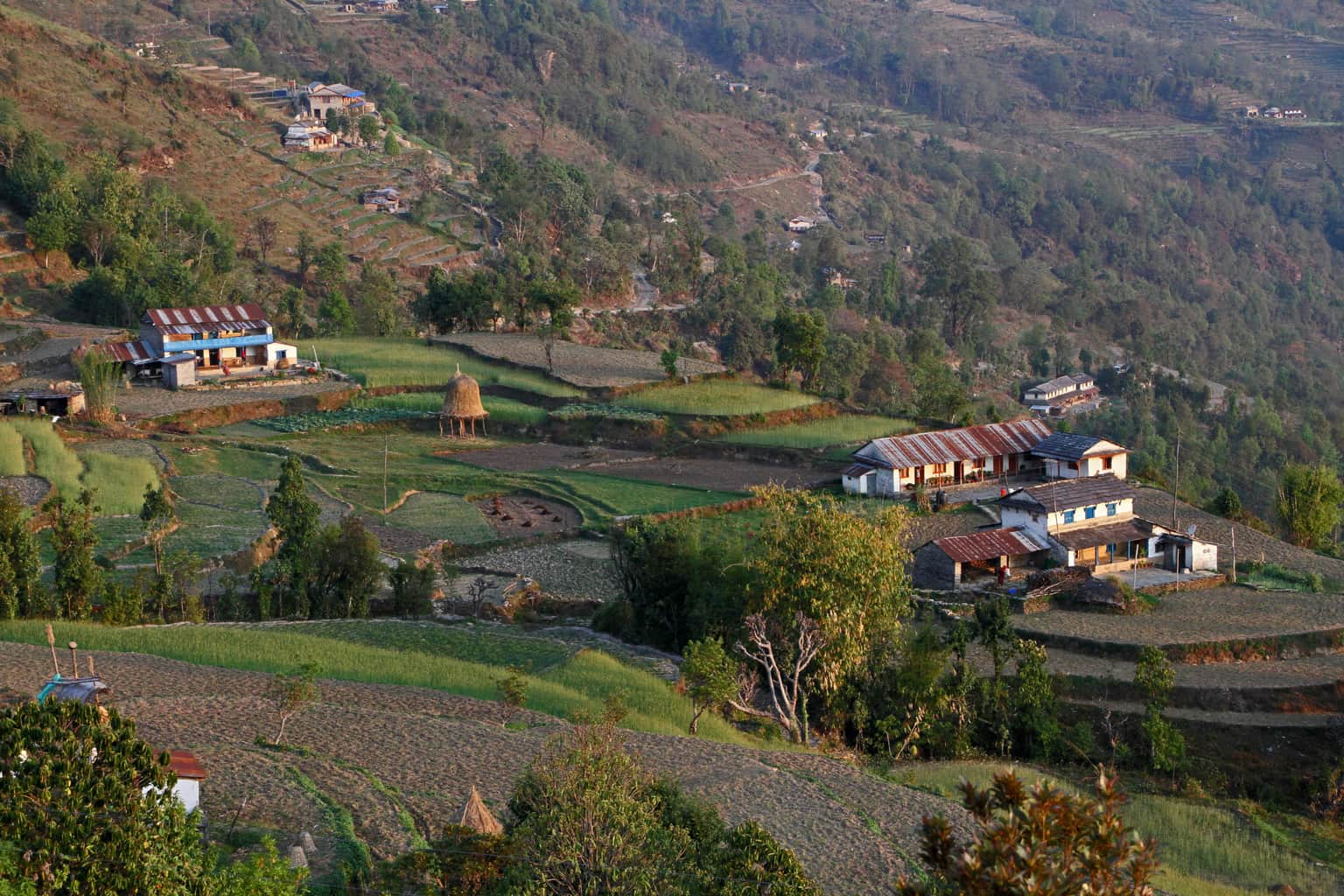 Kimche Village