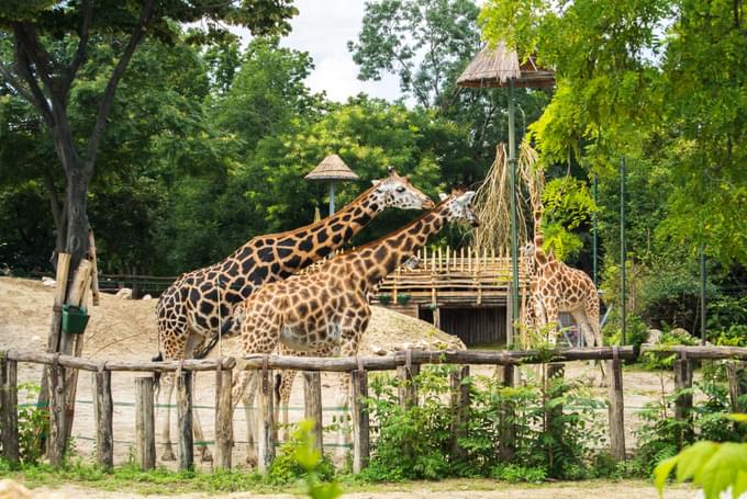 Budapest Zoo & Botanical Garden