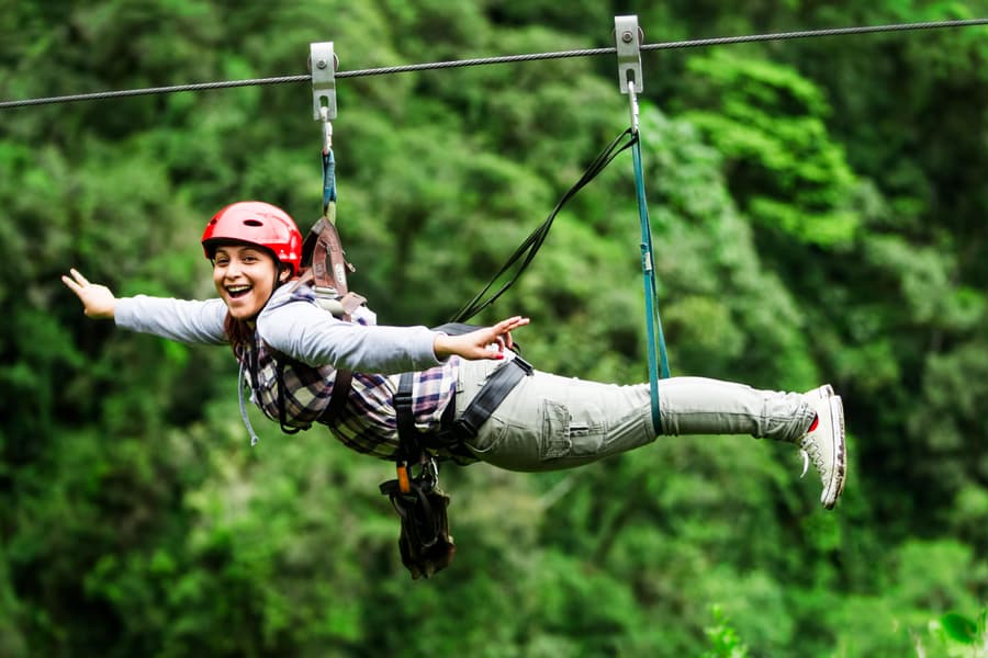 Zipline in Jim Corbett Image