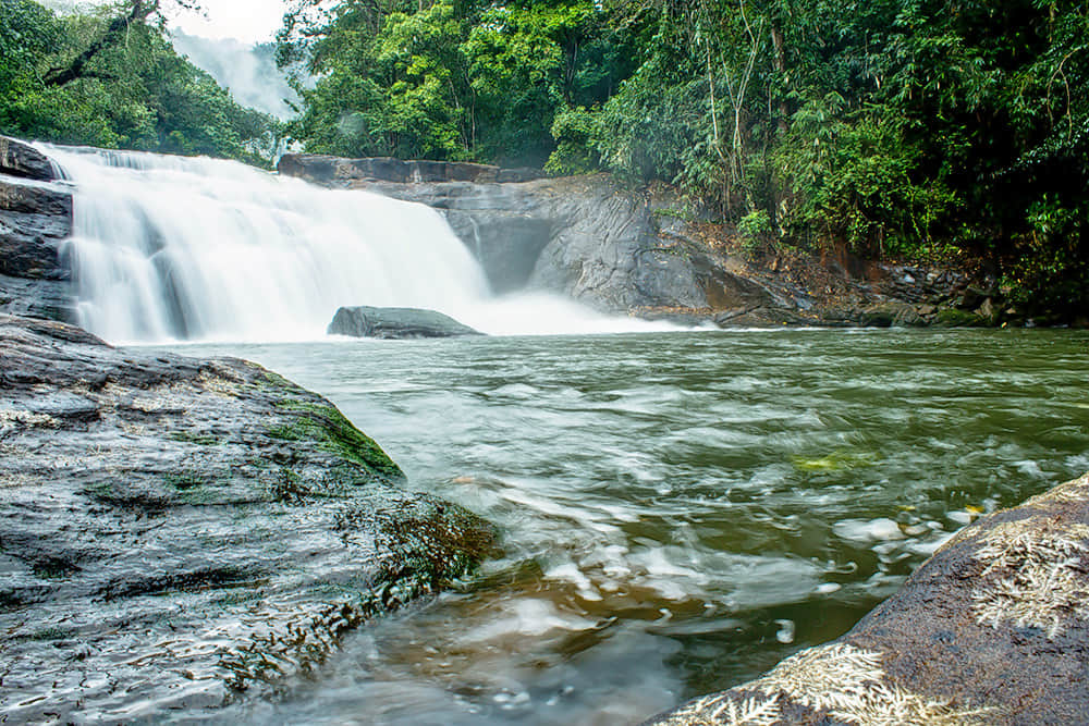 Thommankuthu Waterfalls