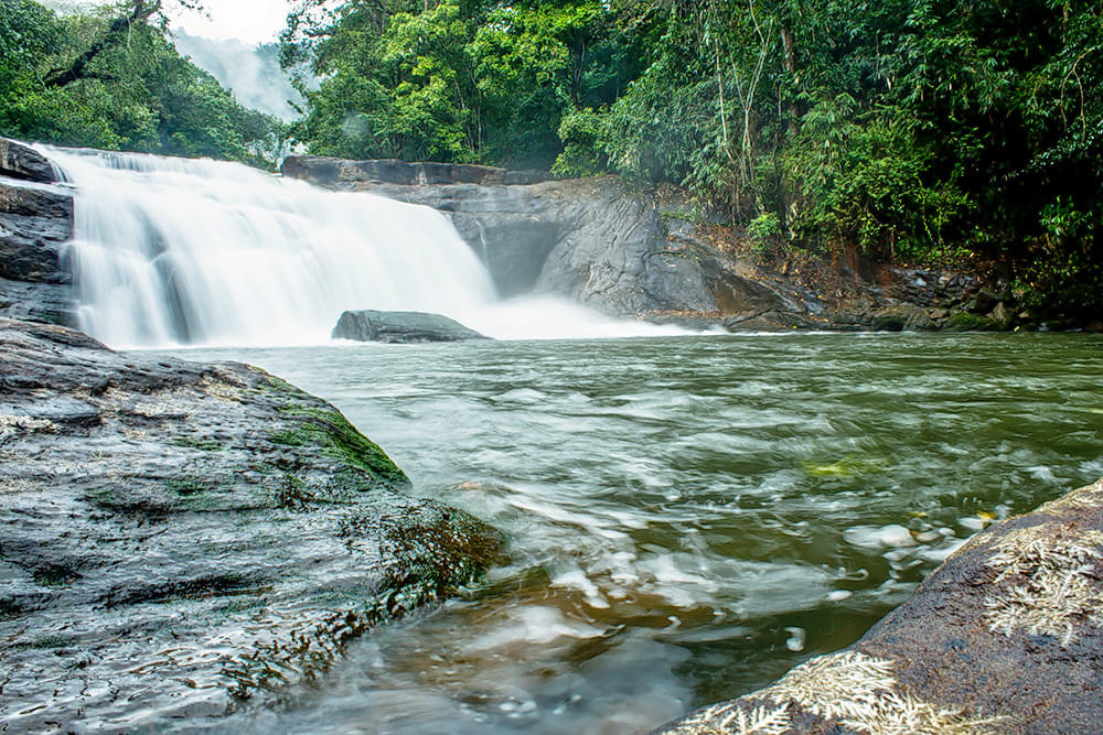Thommankuthu Waterfalls Overview