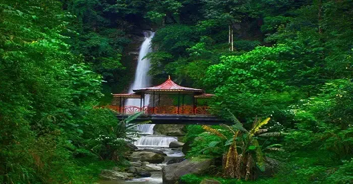  Wander in the Gardens