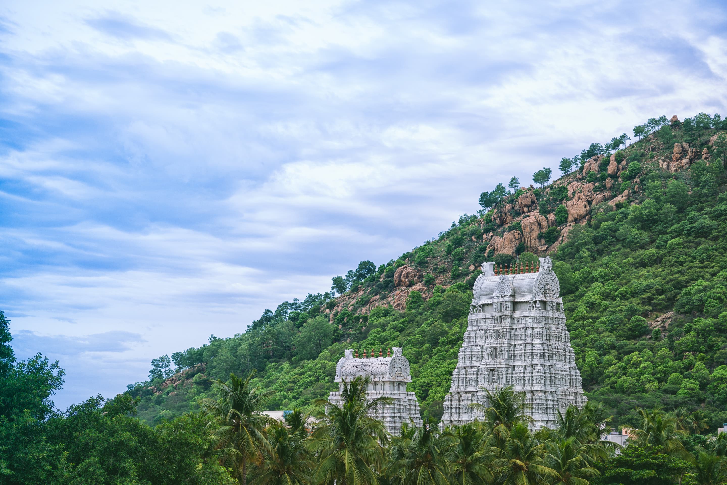 Tamil Nadu Holiday Packages from Guwahati