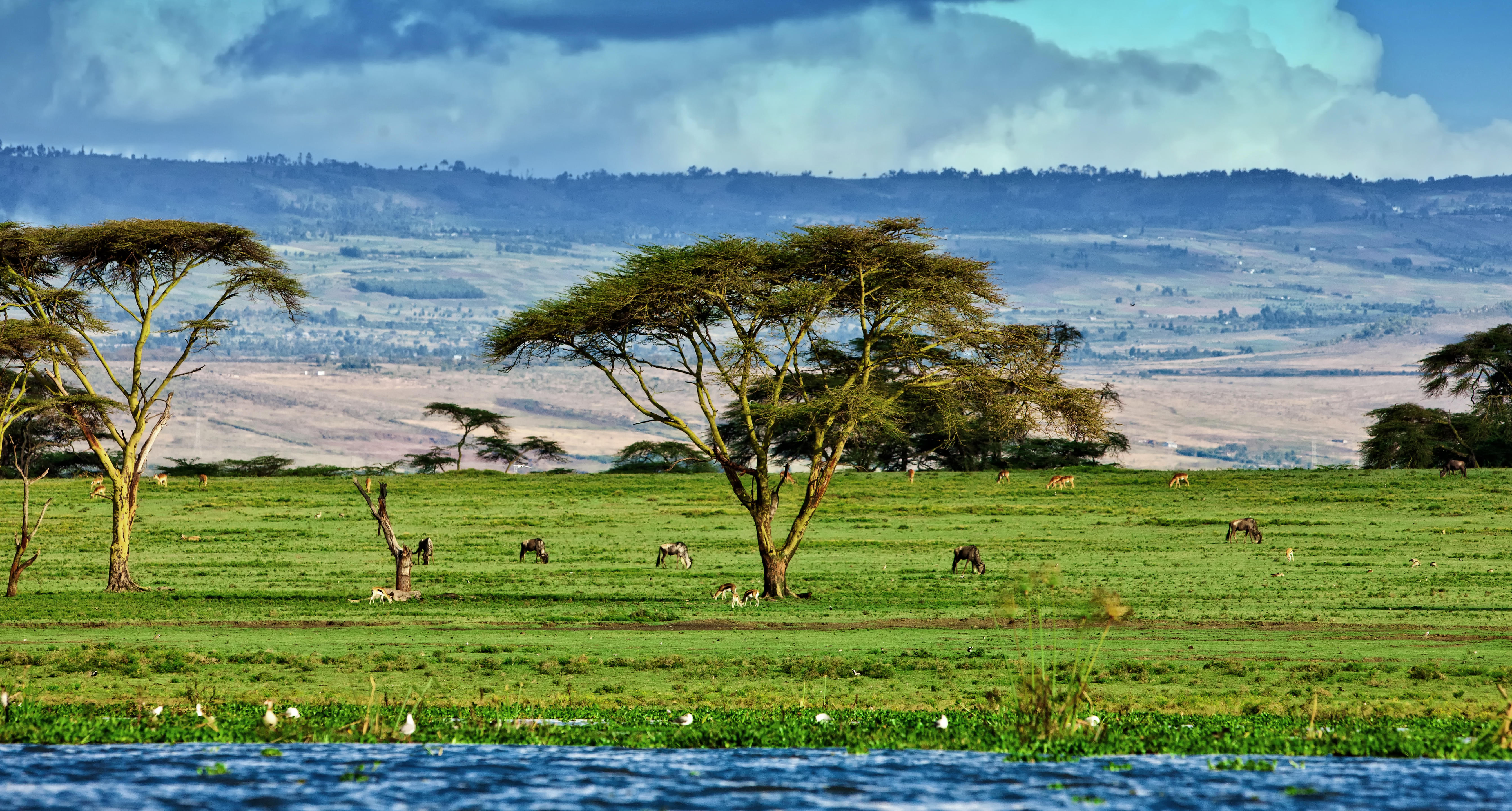 Naivasha Tour Packages | Upto 40% Off