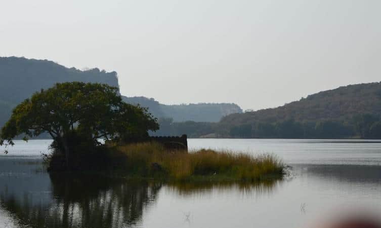 Padma Talao, <em>Ranthambore</em>