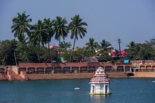 3i2txkirgo7jzov4y49r68frj1bj shutterstock 2428807287