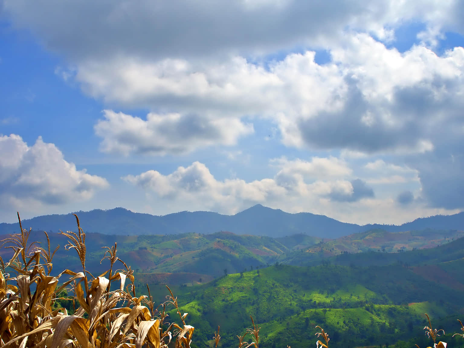 Best Of Dandeli - 463Kms From Bangalore