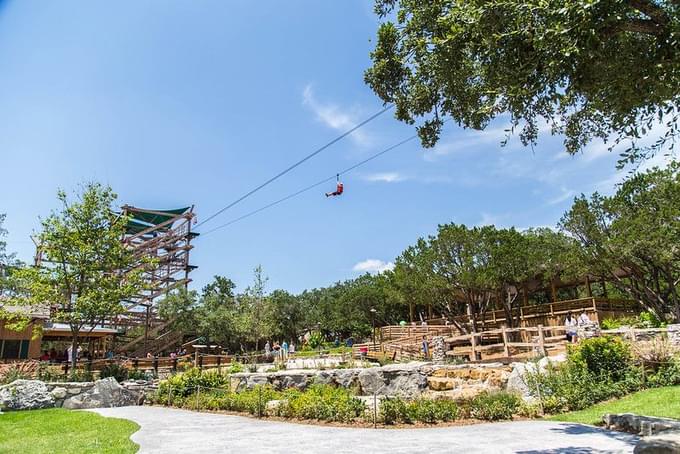 Rouge Zipline at Toronto Zoo