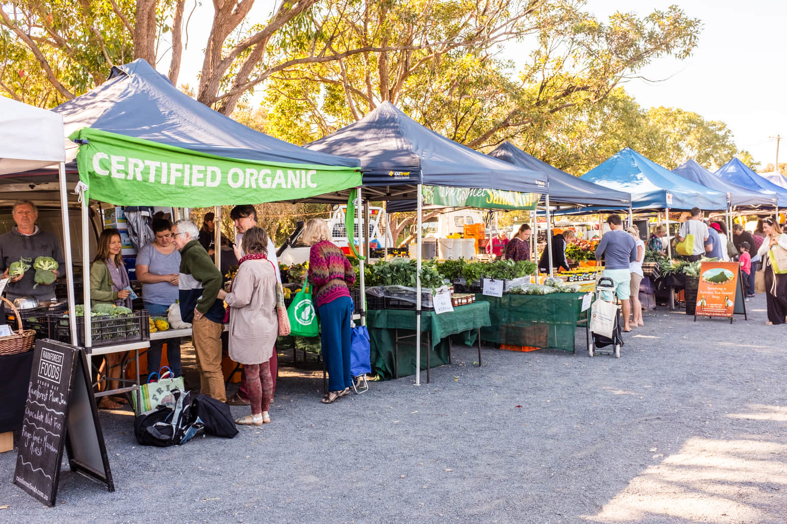 Byron Farmers Market