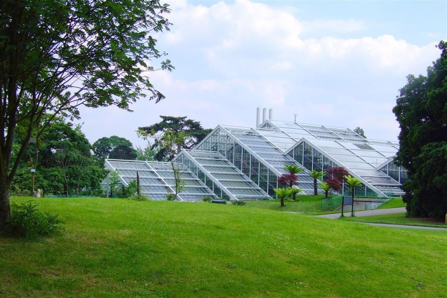 The Princess Of Wales Conservatory Has A Range Of Climate Zones