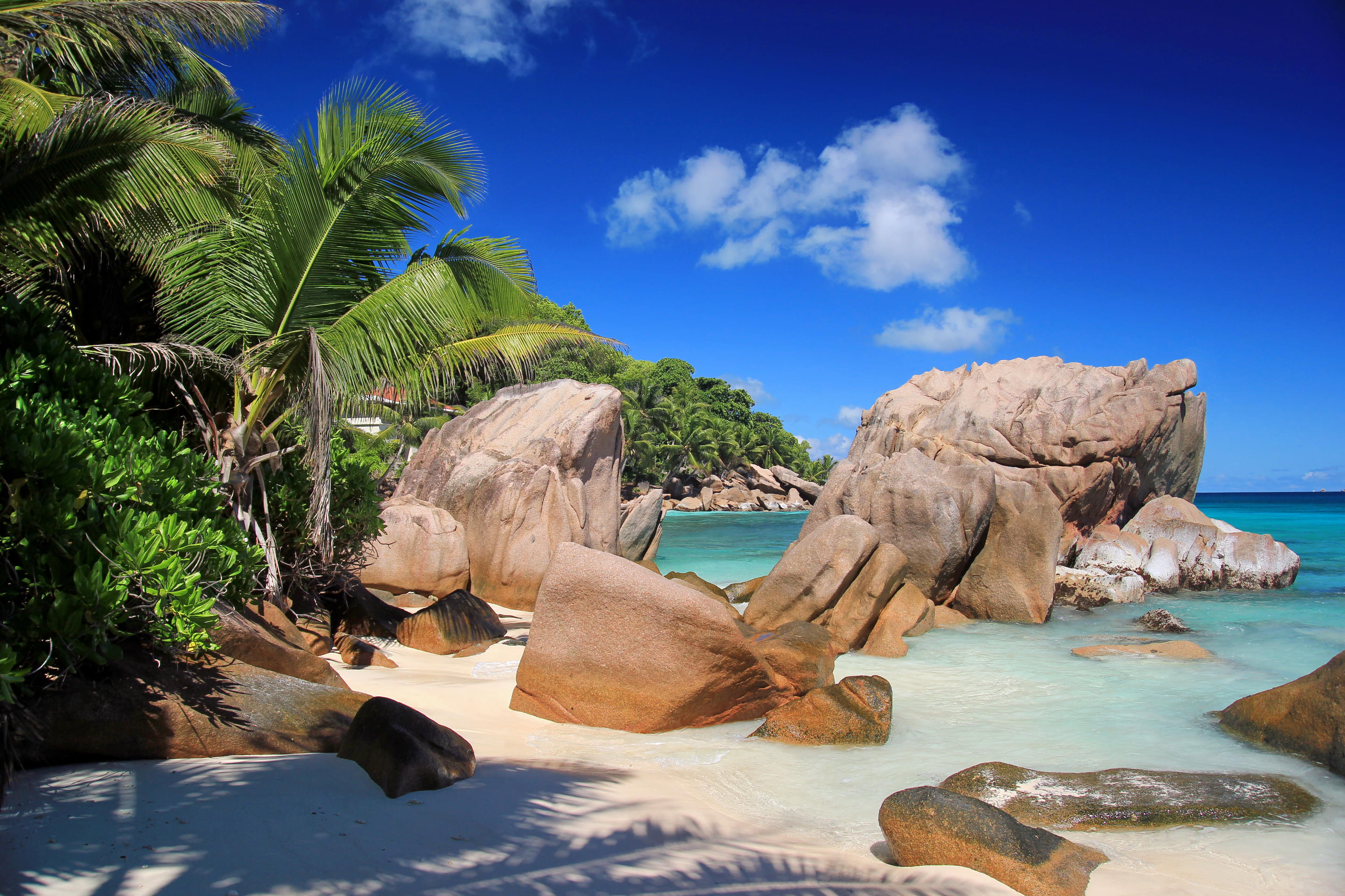 Anse Patates Overview