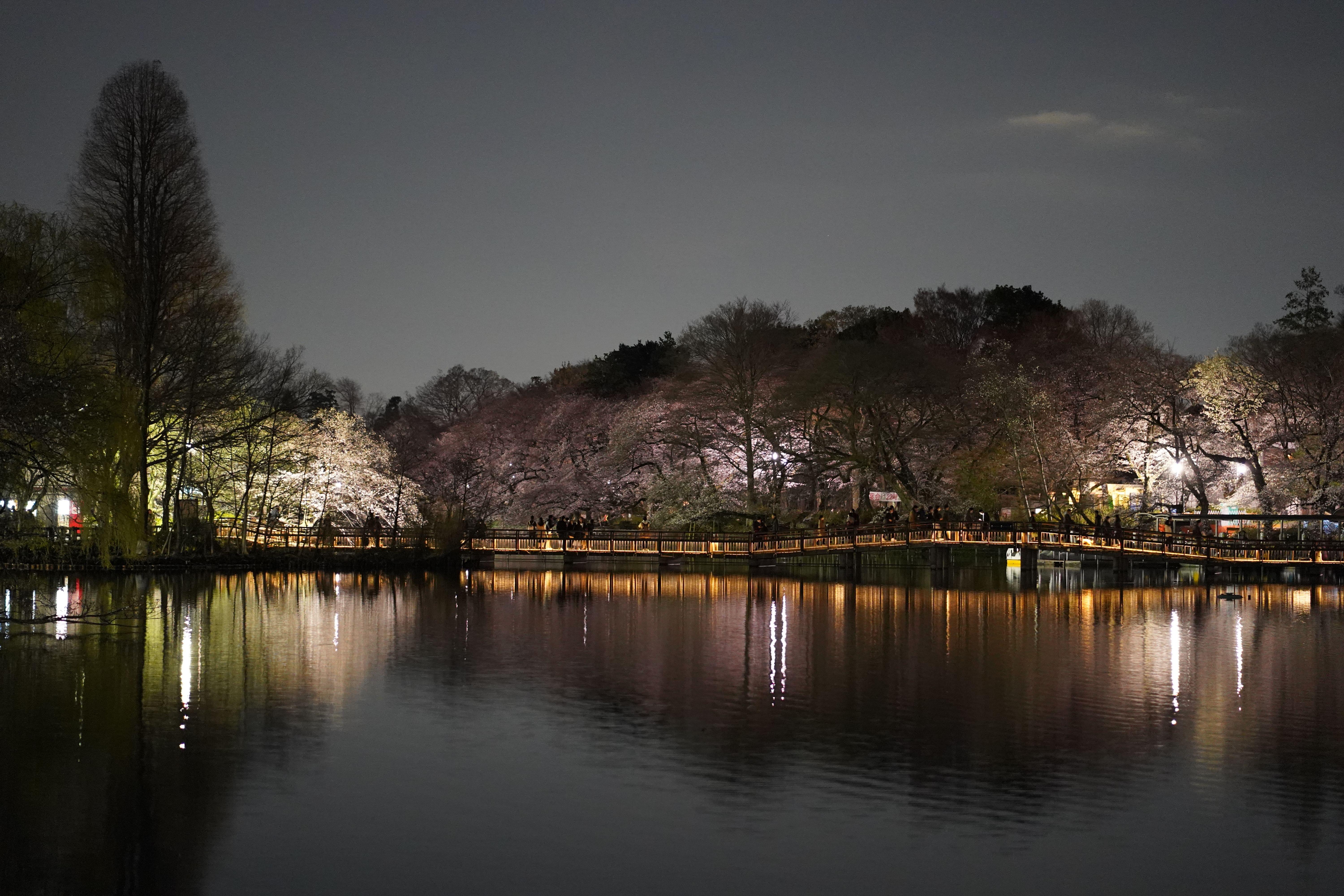 Inokashira Park