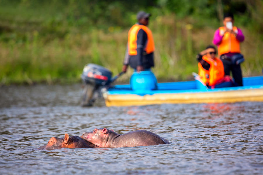 Boat Ride at Lake Naivasha Image