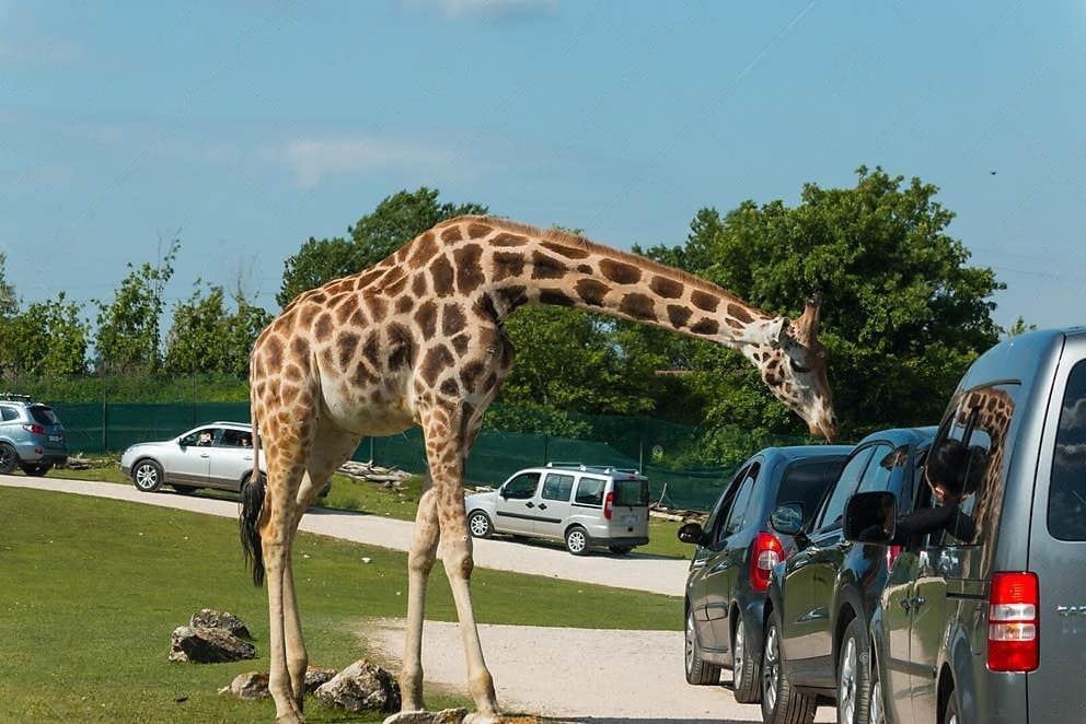 Parco Natura Viva Overview