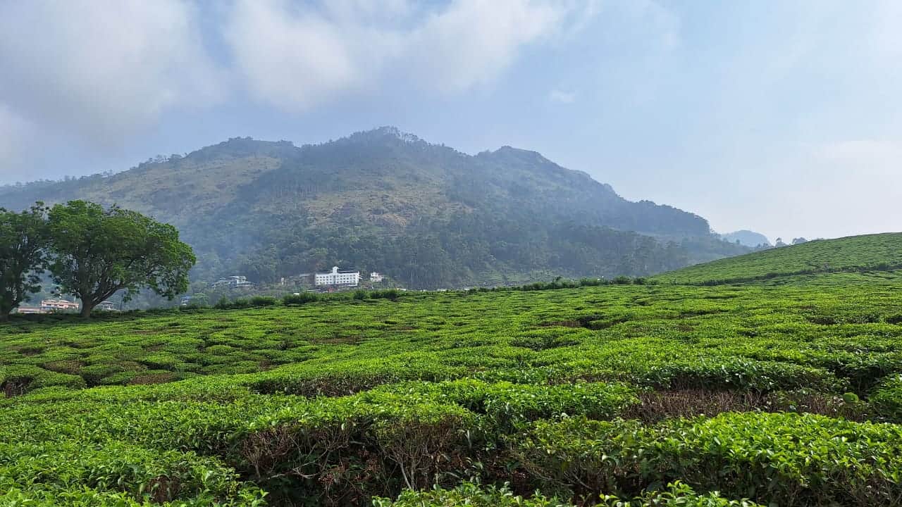 Photo from Ayesha cassim's trip