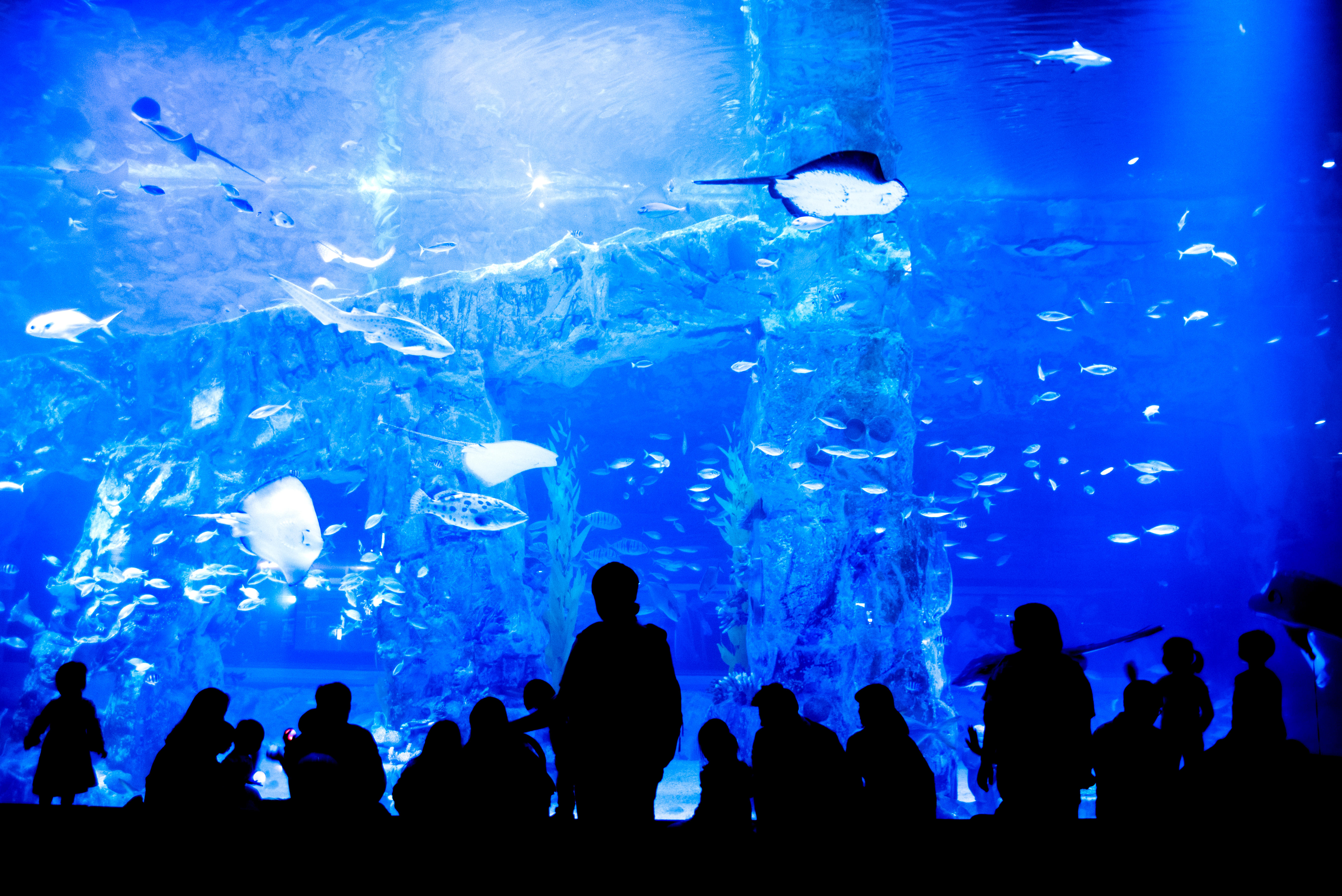 Pittsburgh Zoo & Aquarium