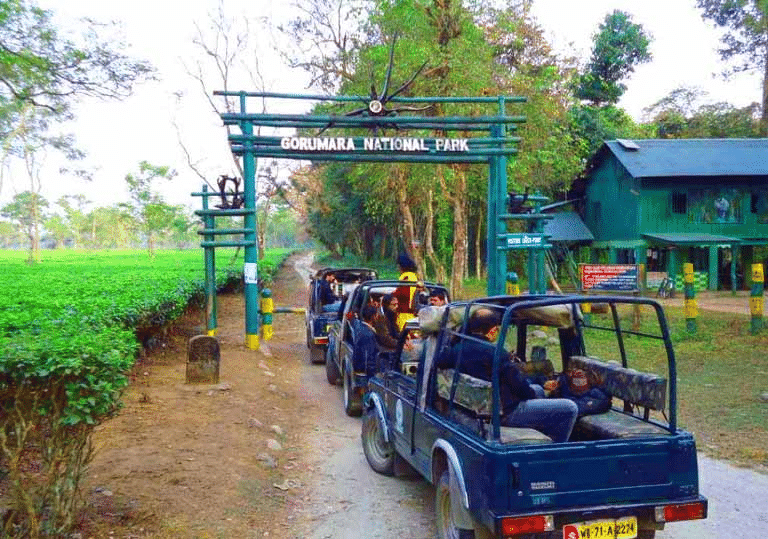 Jeep Safari In Gorumara Image