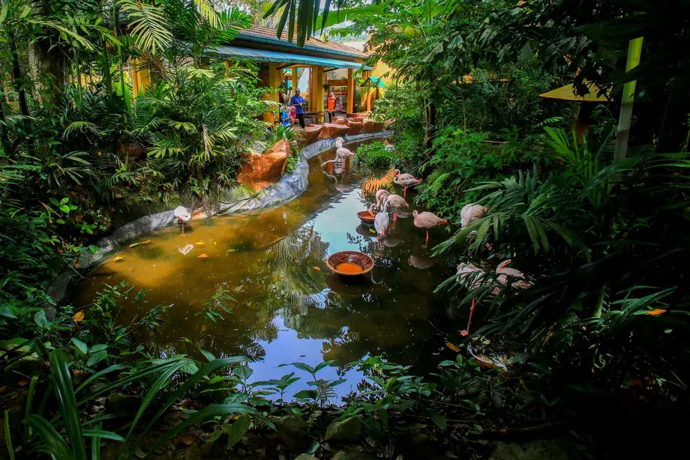 Wildlife Park & Bird Paradise, <em>Langkawi</em>