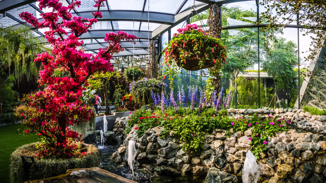 Traverse through a beautiful flowery landscapes in Floral Fantasy Singapore