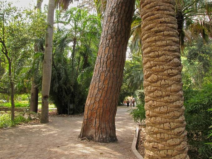 El Jardí Botànic