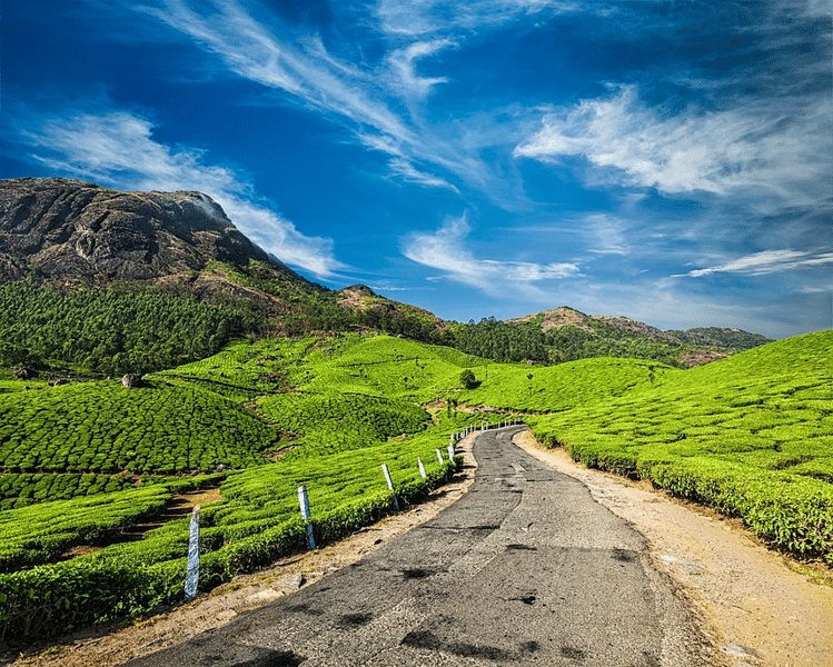 Munnar and Thekkady Tour Package Image