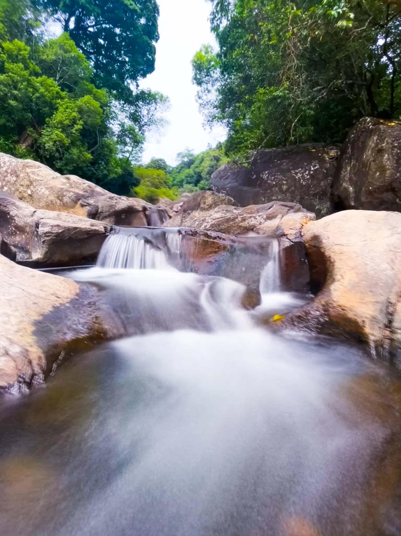 <em>Wayanad</em> Tour Packages From Delhi 